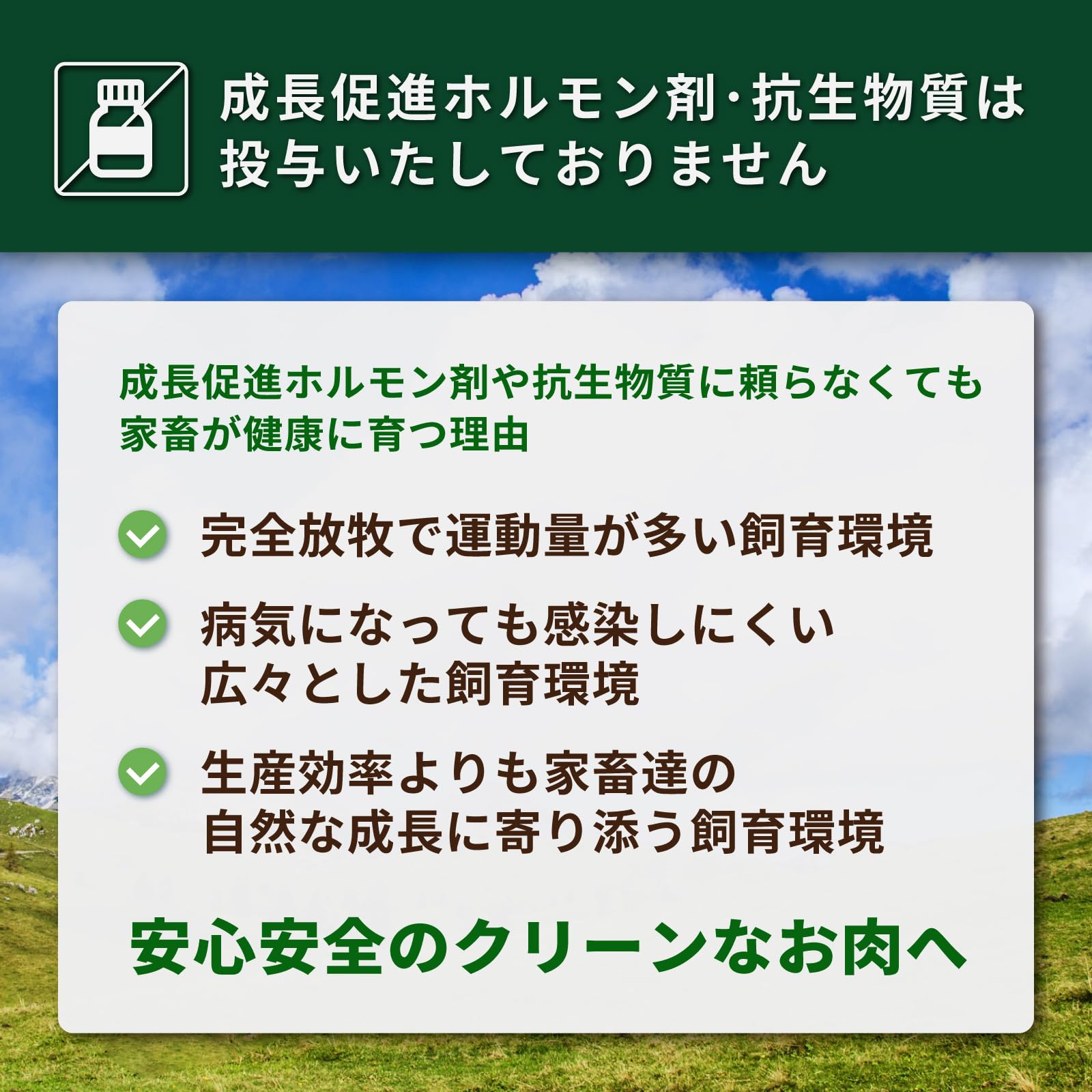 ホライズンファームズ 有機チキンストック 160gの商品画像6