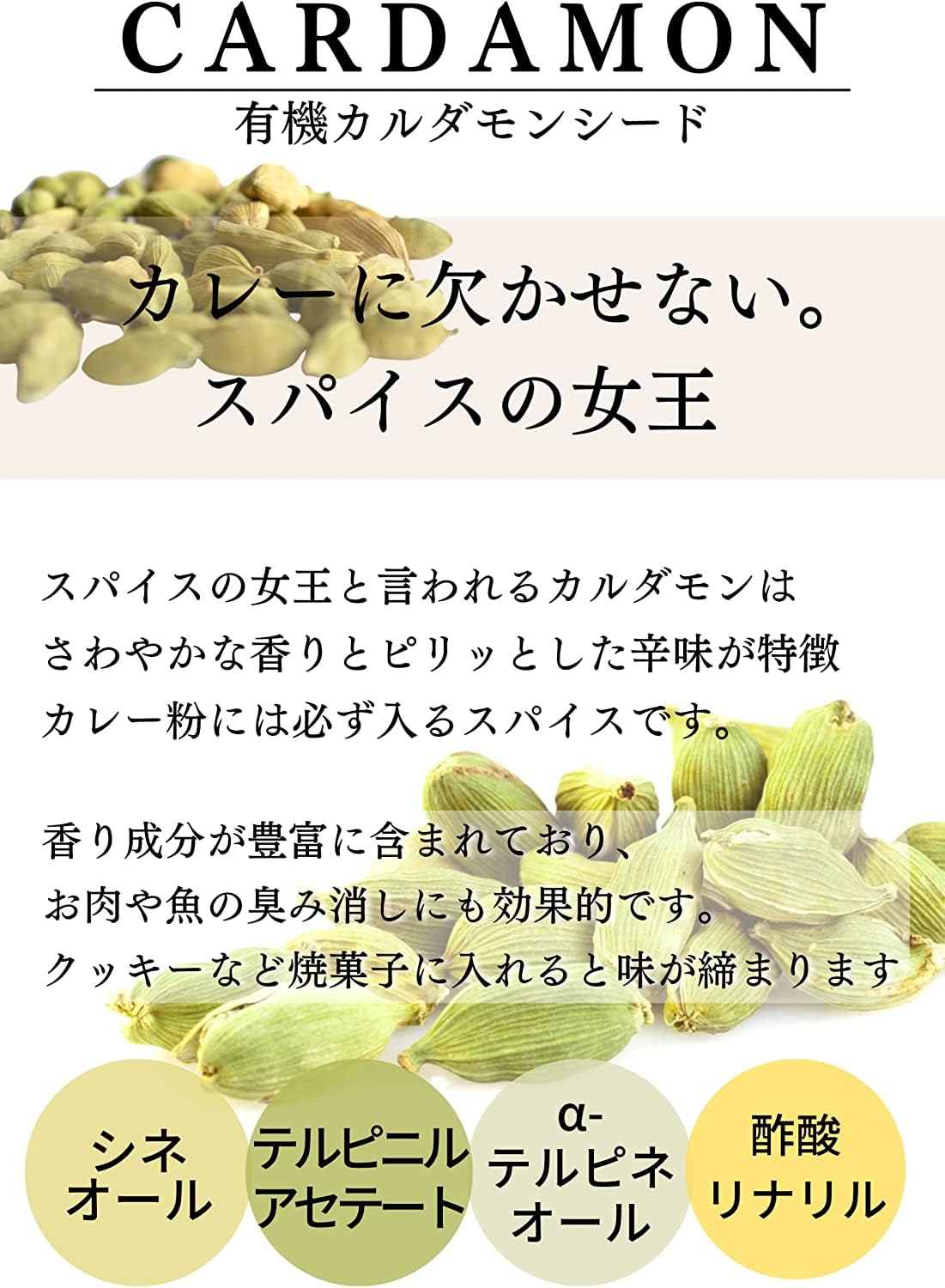 鎌倉香辛料 カルダモンシード 40gの商品画像3