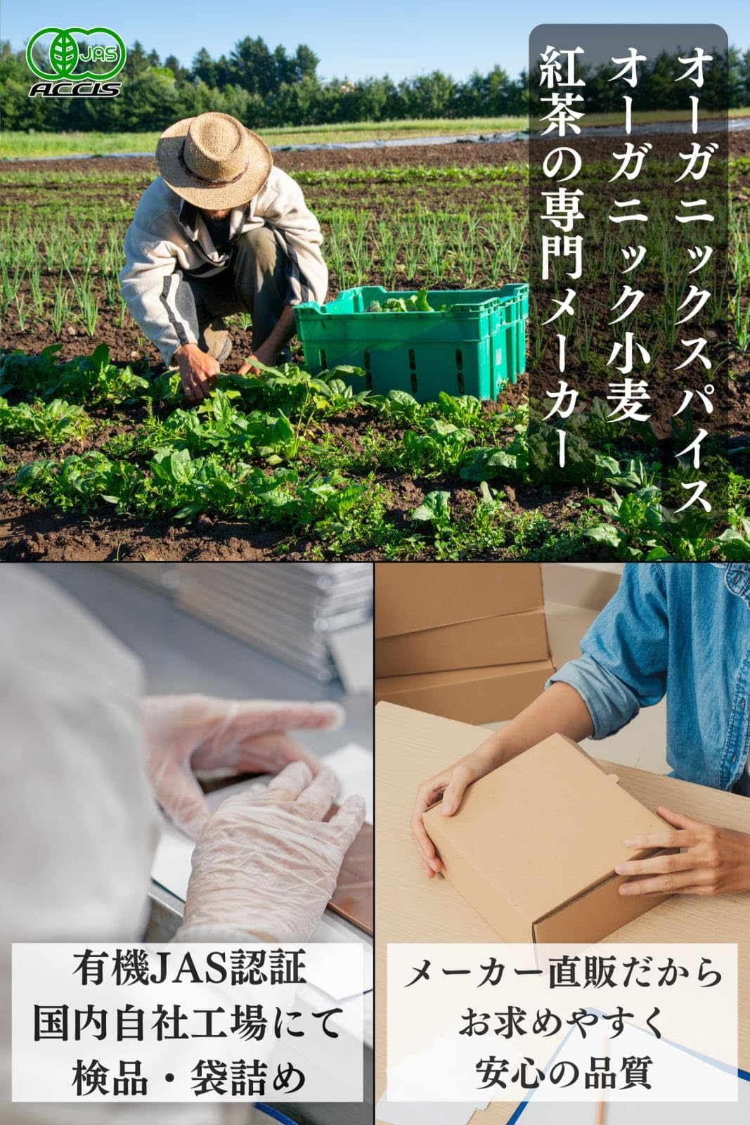 鎌倉香辛料 ローリエ 15gの商品画像2