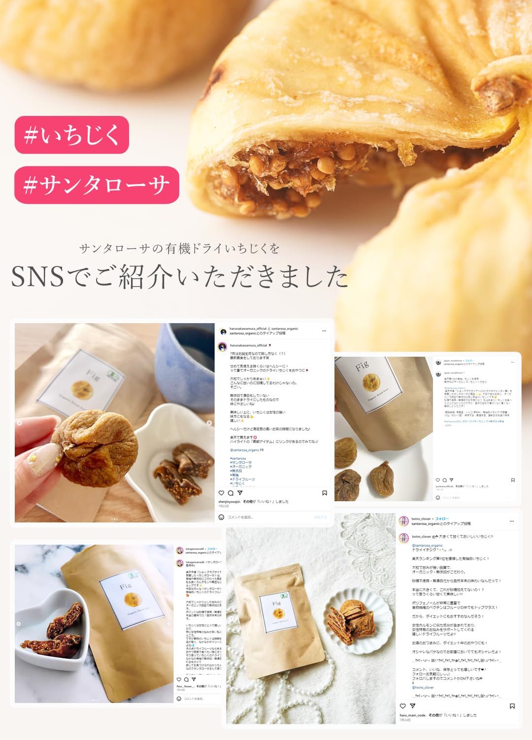 San'ta Rosa 有機ドライいちじく 100gの商品画像4